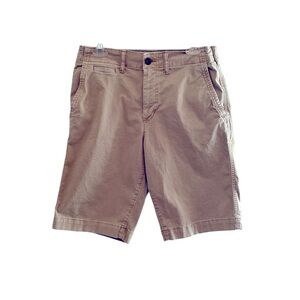 AMERICAN EAGLE Flex Long Length Flat Front Shorts 30